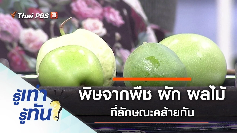 กินผิดชีวิตเปลี่ยน พิษจากพืช ผักผลไม้ที่ลักษณะคล้ายกัน