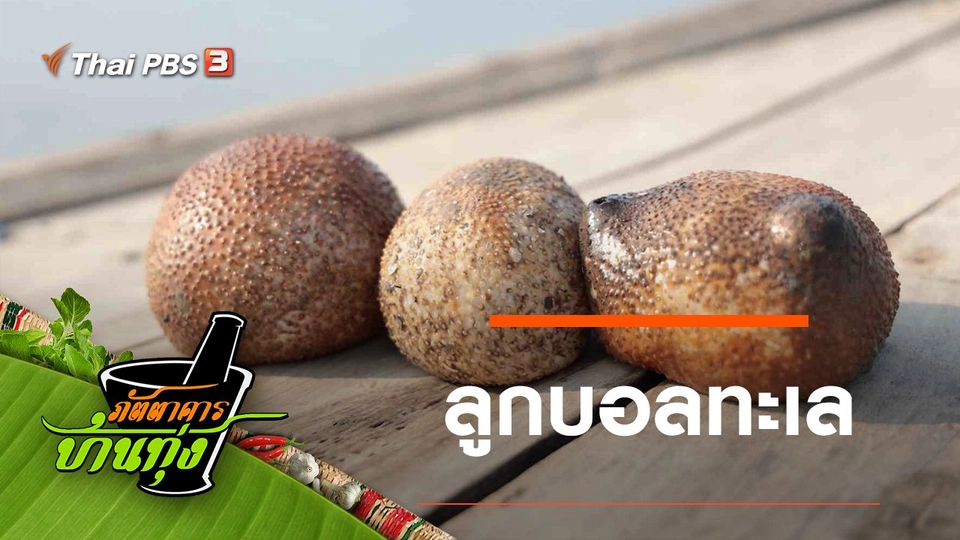 ลูกบอลทะเล