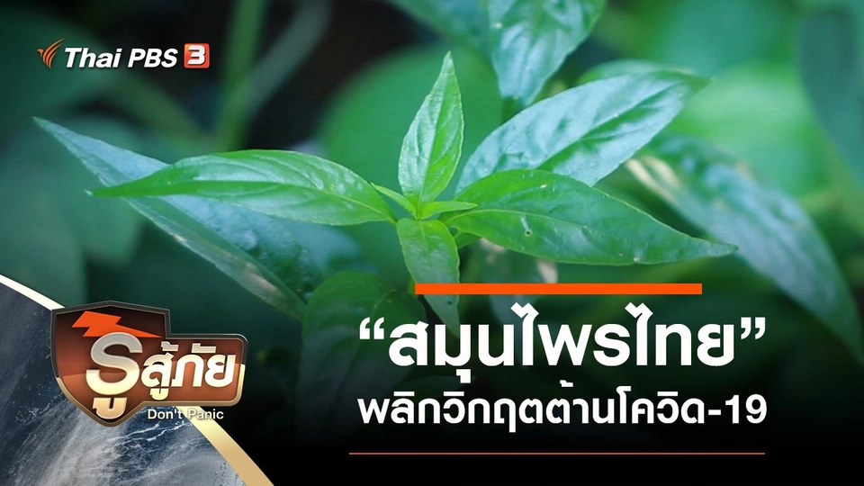 “สมุนไพรไทย” พลิกวิกฤตต้านโควิด-19