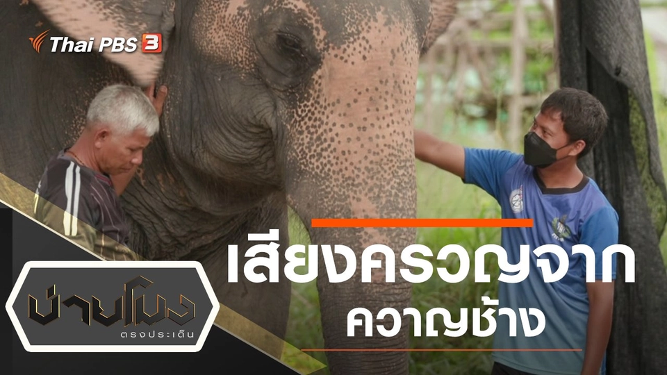 ประเด็นข่าว (19 ต.ค. 64)