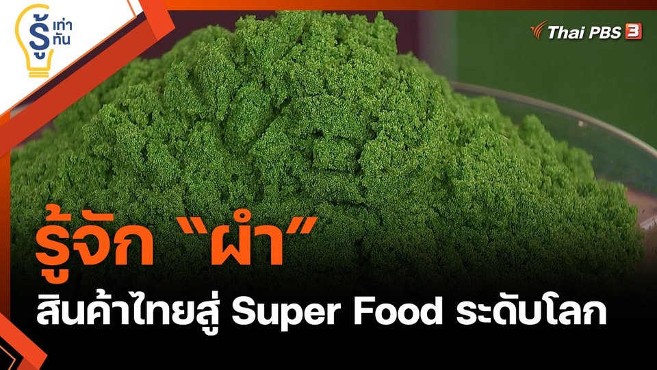 รู้จัก “ผำ” สินค้าไทยสู่ Super Food ระดับโลก