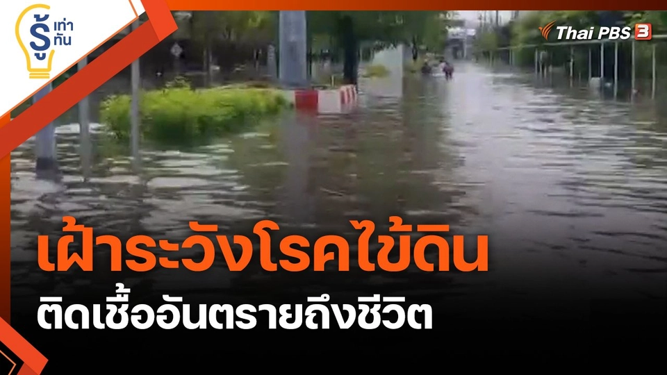 เฝ้าระวังโรคไข้ดิน...ติดเชื้ออันตรายถึงชีวิต