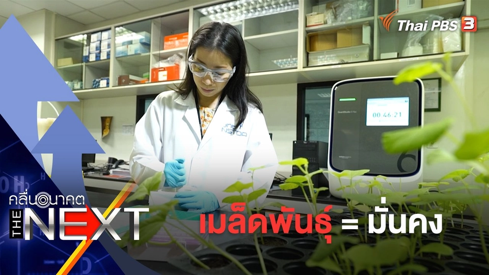 เมล็ดพันธุ์ = มั่นคง