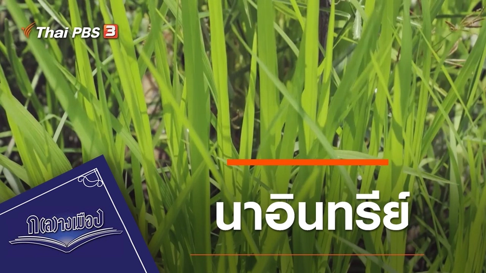 นาอินทรีย์