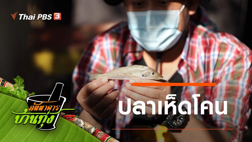 ปลาเห็ดโคน