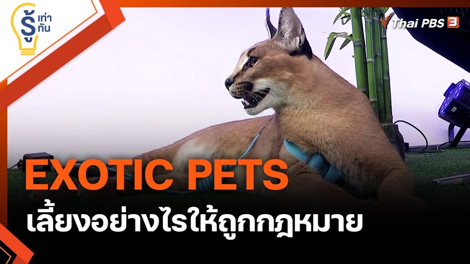 ​EXOTIC PETS เลี้ยงอย่างไรให้ถูกกฎหมาย