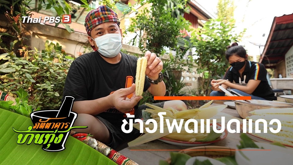 ข้าวโพดแปดแถว