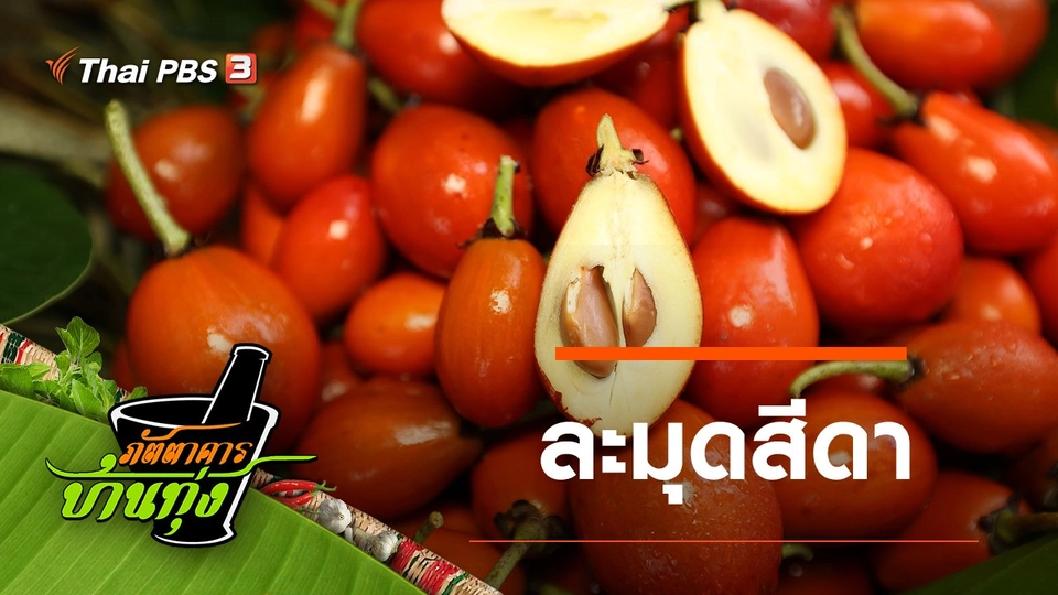 ละมุดสีดา