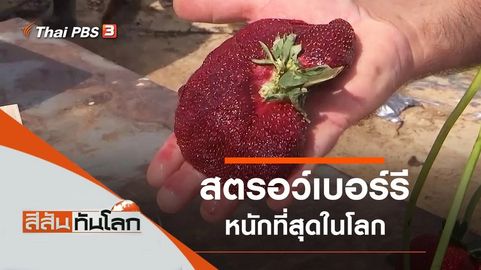 ประเด็นข่าว (19 ก.พ. 65)