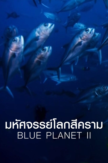 มหัศจรรย์โลกสีคราม BLUE PLANET II