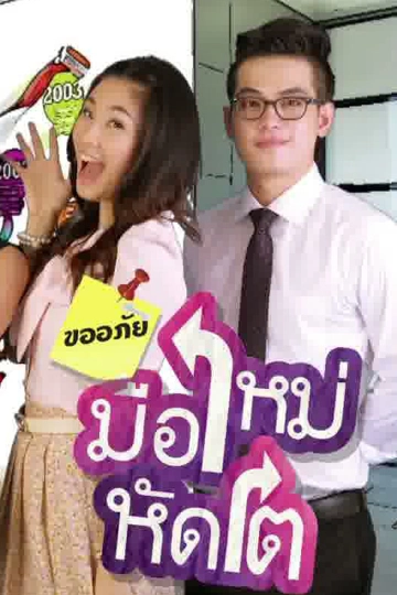 ซิตคอม ขออภัยมือใหม่หัดโต