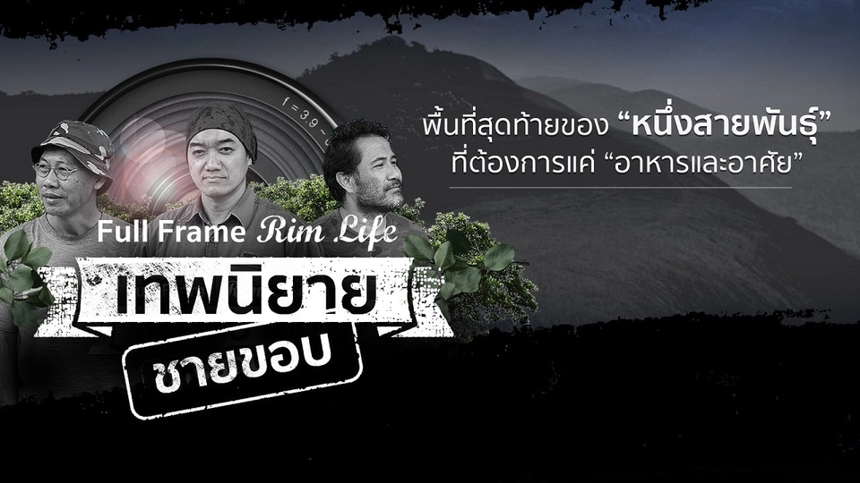 ซีซัน 2