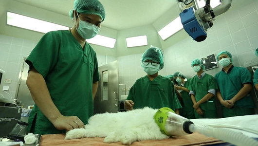 Exotic Pets…สัตว์(เลี้ยง)หน้าแปลก