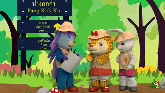 ดาวม้า