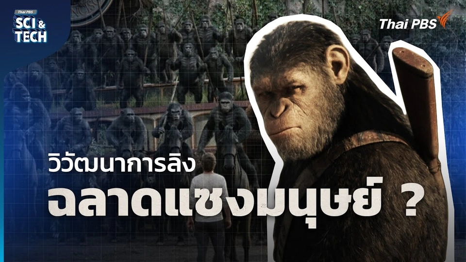 Planet Of The Apes อนาคตวิวัฒนาการลิง ฉลาดแซงหน้ามนุษย์ ?