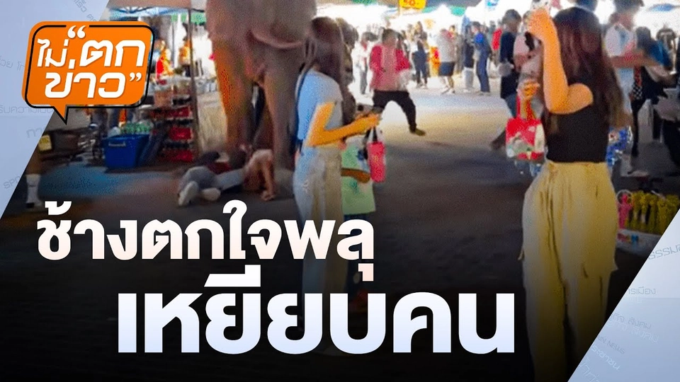 ช้างตกใจพลุ เหยียบคน | ไม่ตกข่าว  20 ม.ค.68