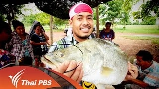 หอยเฉลียบ