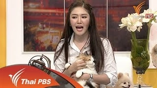 เพื่อนซี้สี่ขา
