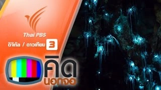 ชมความงดงามถ้ำหนอนเรืองแสงในนิวซีแลนด์