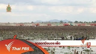 นักข่าวพลเมือง : ขุดลอกบึงบอระเพ็ด