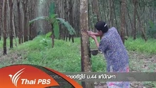 การจัดการปัญหาพลังงาน ปี 2559