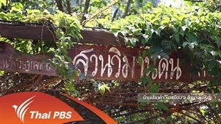 อำนาจสีเขียว