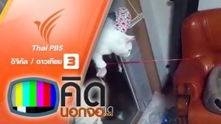 น้องแมวเล่นกันเอง