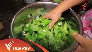 ส้มเกรียบ