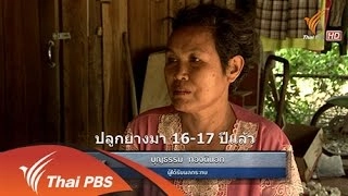 สมรภูมิทวงป่า