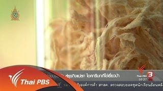 ลงทุนทำกิน : โชห่วยปรับตัว สู่ธุรกิจแปลก ไอศกรีมกะทิไข่เยี่ยวม้า (31 พ.ค. 59)