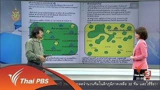 คนดังรณรงค์ จุดประกายเพิ่มผืนป่า