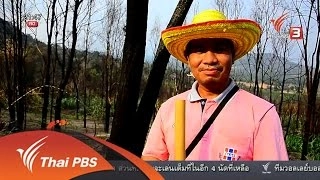 นักข่าวพลเมือง : ป่าภูหลง อ.ภูเขียว ชัยภูมิ (17 พ.ค. 59)