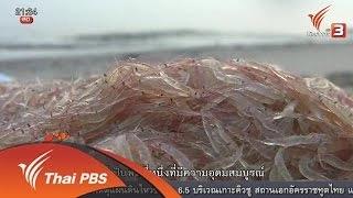 นักข่าวพลเมือง :  ชาวบ้านคลองประดู่ ต.ปากบาง อ.เทพา จ.สงขลา (15 เม.ย. 59)