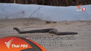 ยิปซีงูราชสถาน