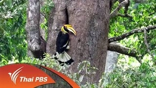 หัวใจบูโด