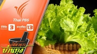 ผักกาดหอม