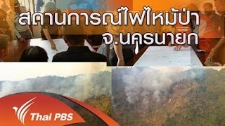 สถานการณ์ไฟไหม้ป่า จ.นครนายก