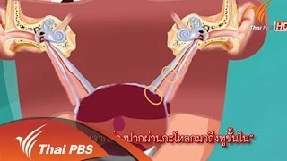 ภาพพิศวง