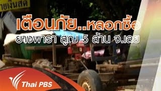 หลอกซื้อยางพารา เสียหายกว่า 5 ล้านบาท จ.เลย