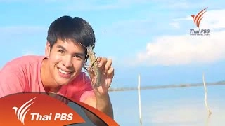 กุ้งก้ามกราม แห่งทะเลสาบสงขลา