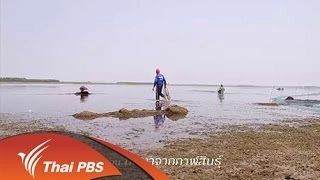 มันมาจากกาฬสินธุ์