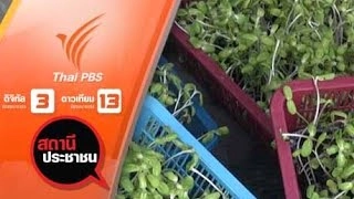 เกษตรกรปลูกผักอินทรีย์ ทั่วประเทศ ร้องถูกโกงค่าขายผัก