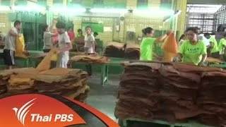 จี้รัฐเร่งแก้ ยาง-ปาล์ม ราคาตก