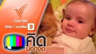 เด็กน้อยกับน้องหมาน้องแมว
