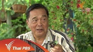 เมนูสุขภาพจากมะม่วงหาว มะนาวโห่