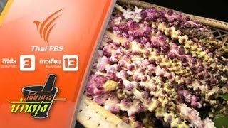 ผักดีกั้ง