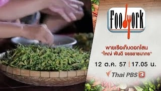 พายเรือเก็บดอกโสนกับ “ใหญ่ - ฝันดี จรรยาธนากร”