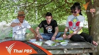 กล้วยนานาสายพันธุ์