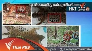 ห่วงเสือโคร่งถูกล่า