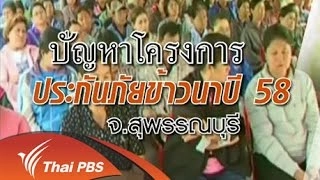 ปัญหาโครงการประกันภัยข้าวนา ปี 58 จ.สุพรรณบุรี
